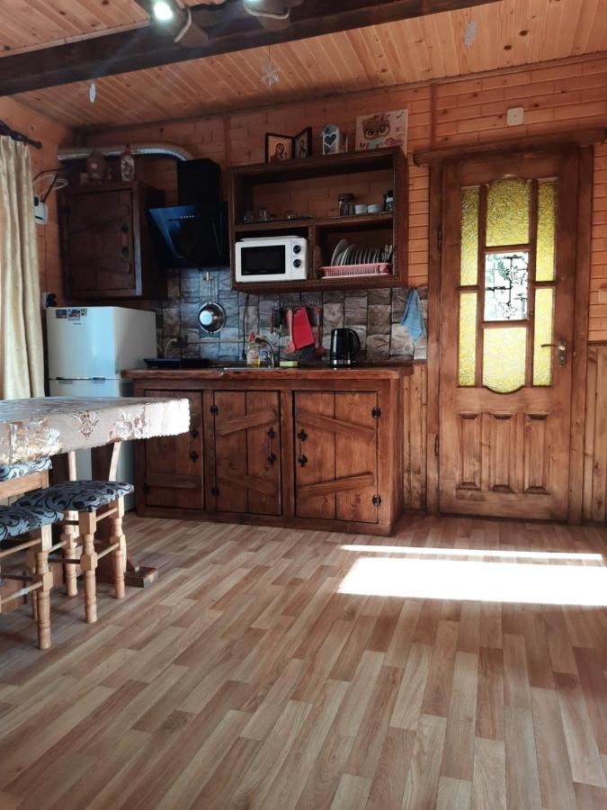Котедж Віадук Vorokhta Luaran gambar